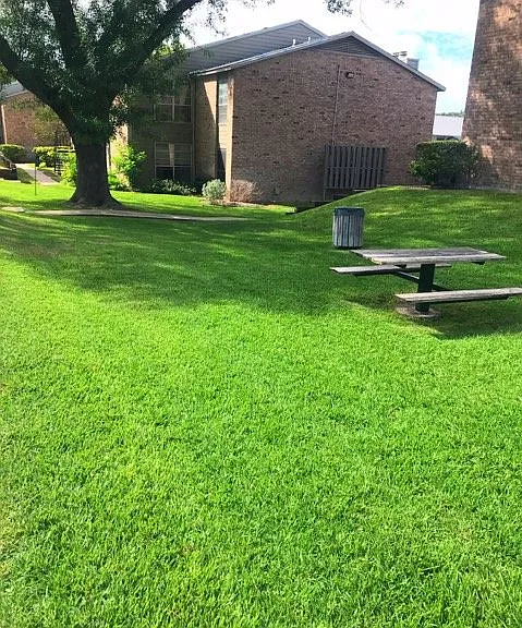 Wolfe Run Apartments — Photo 9