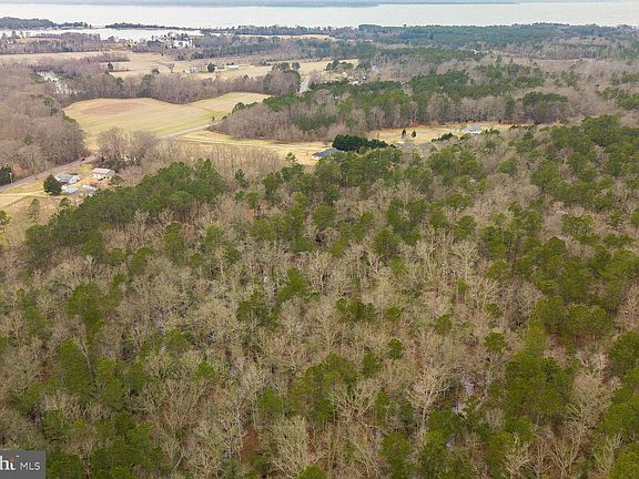 3rd image of 44865 Dot Banagan Ln