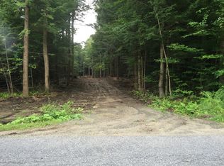 126 Alpine Meadows Rd, Porter Corners, NY 12859