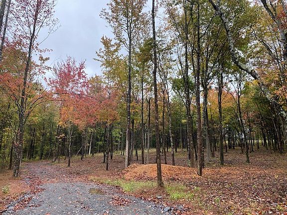 3rd image of 7878 Bill Moss Rd