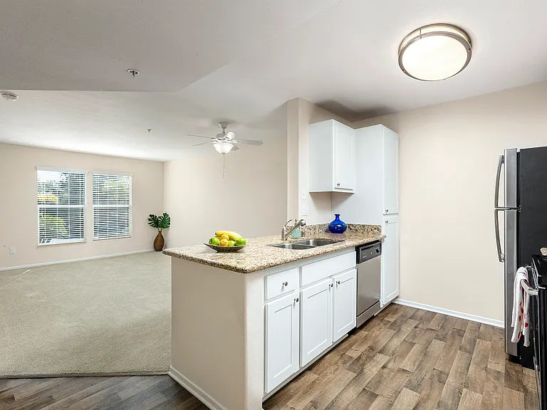 Kitchen Living Area