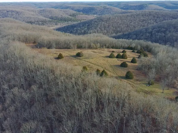 406 Red Bridge Rd, Ozark, MO 65721