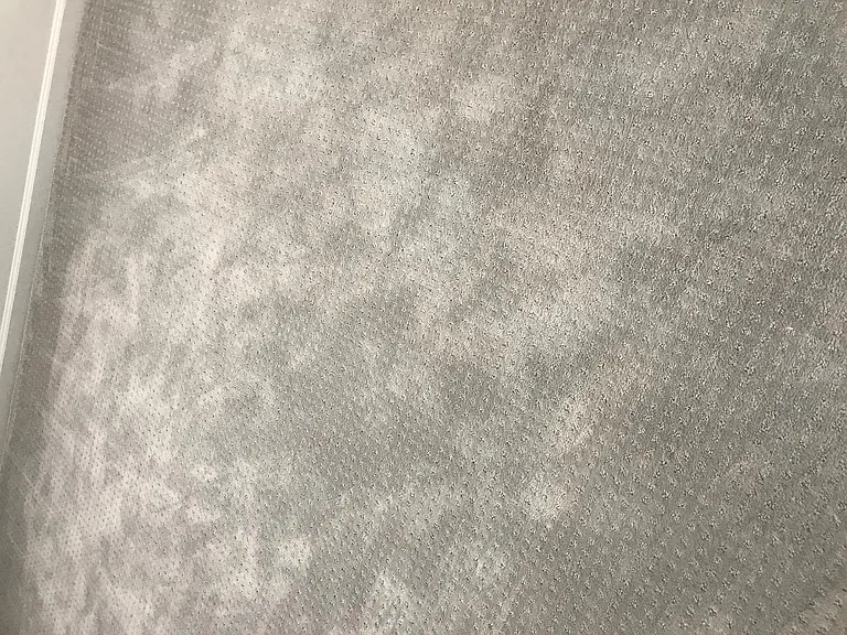 NEW carpeting