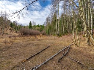 130 Grey Eagle Way, Cripple Creek, CO 80813