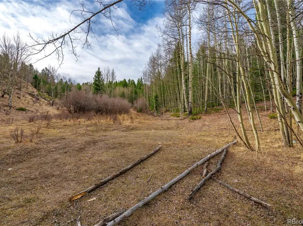 130 Grey Eagle Way, Cripple Creek, CO 80813