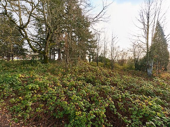 3rd image of 2856 SE 92nd Ave
