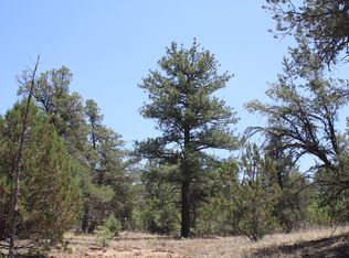Lots 4 6 Bodean Rd, Ramah, NM 87321