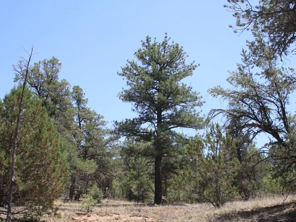 Lots 4 6 Bodean Rd, Ramah, NM 87321