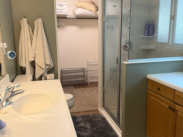 3rd bathroom & walk in closet