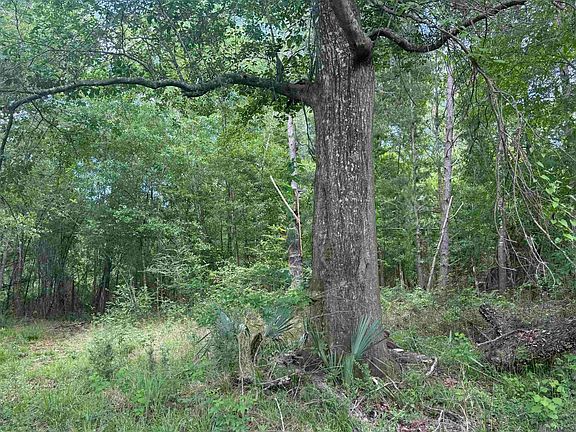 3rd image of LOT 139 Amite River Rd