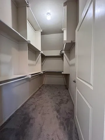 Walk-in Master Closet