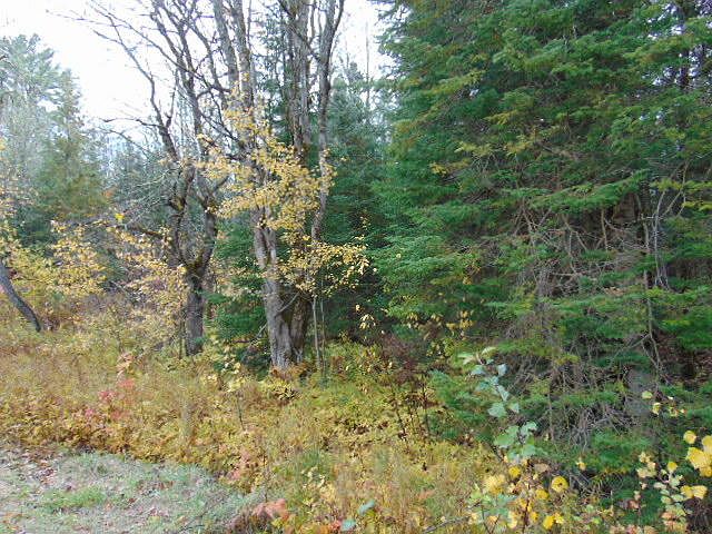 2nd image of 11462 N County Road 415