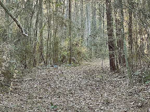 5th image of 365 Burgetown Rd