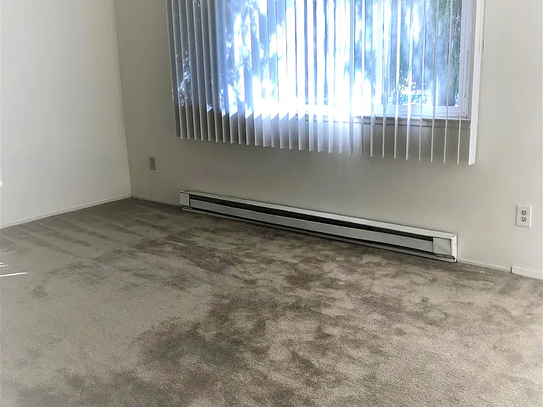 195 E Reed St #4 — Photo 8