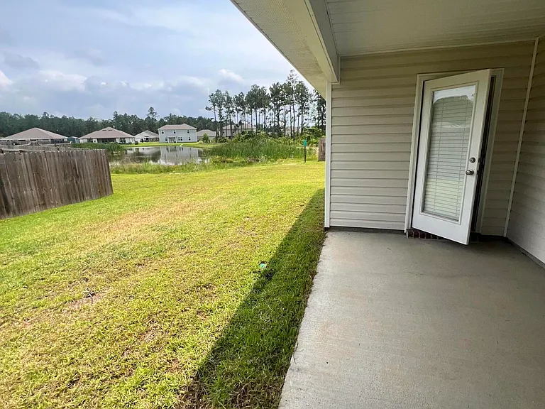 18186 Southern Magnolia Cv — Photo 18