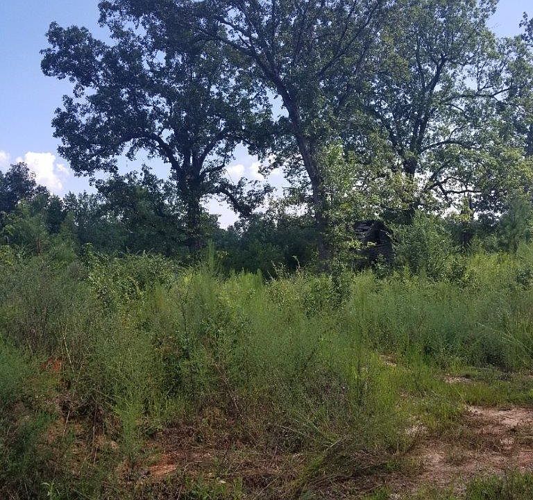 0 Tutelo Trl Hollister, NC, 27844 Apartments for Rent Zillow