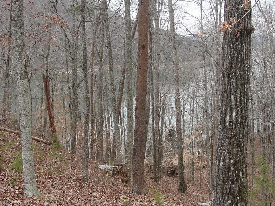 2nd image of 120 Beehive Ln