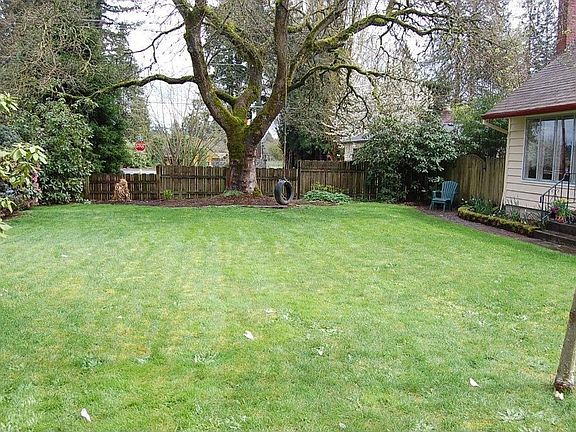 Front yard. Young sunset red maple tree in right foreground.