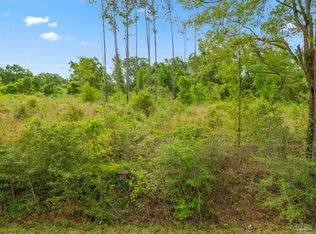 LOT 28 Mineral Springs Rd, Jay, FL 32565