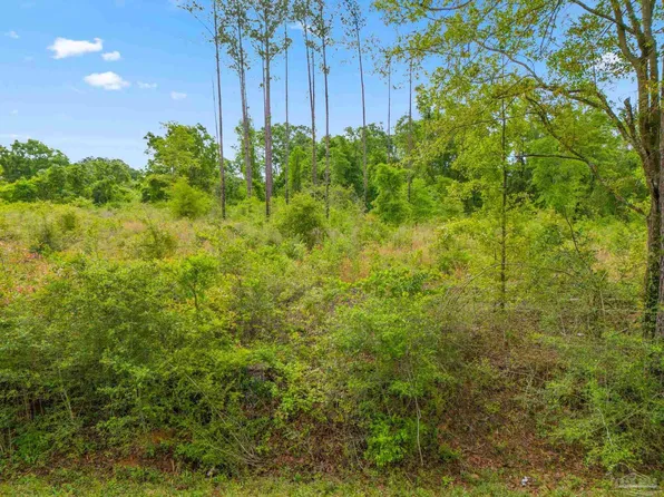LOT 28 Mineral Springs Rd, Jay, FL 32565