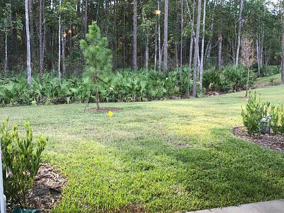 4th image of 446 Coconut Palm Pkwy
