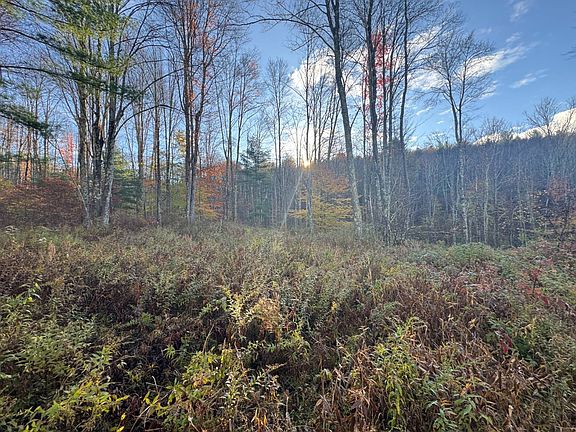 3rd image of 83 Stephen Rd