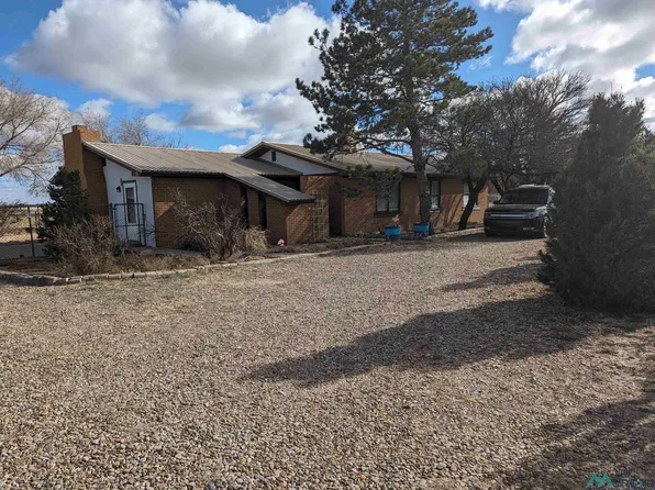 513 New York Dr, Portales, NM 88130