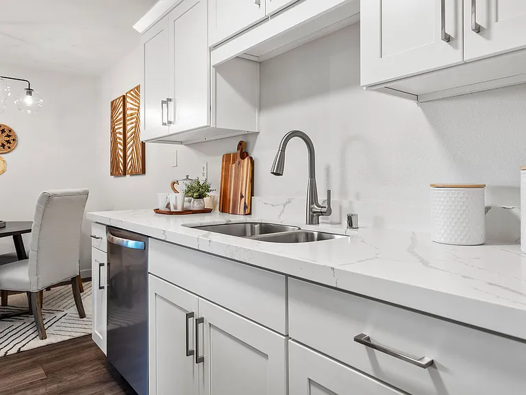 New cabinets, sink and faucet