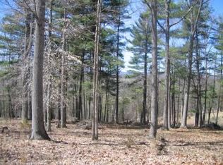 Tbd Gibbs Run Ln, Raphine, VA 24472