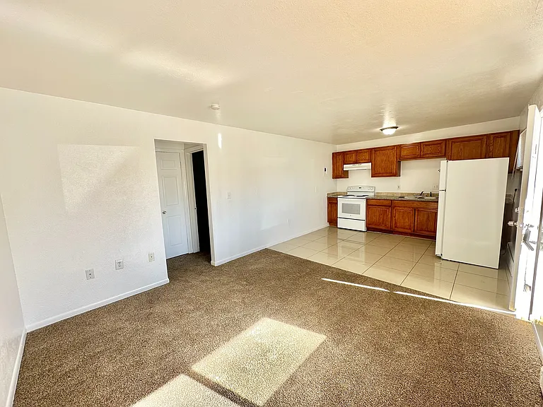Bright, open-concept living area with modern kitchen, cozy carpeted space, and plenty of natural light.