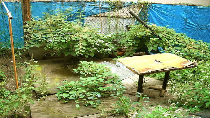 Rented by The LeBlanc Organization Inc | media 24