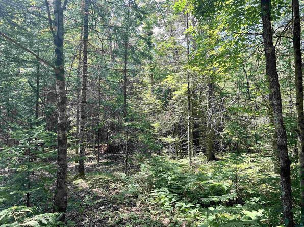 xxx Chippewa Tr, Exeland, WI 54867
