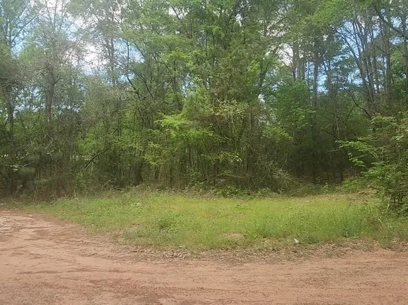 LOT 6 Thornwood Dr, Plantersville, TX 77363