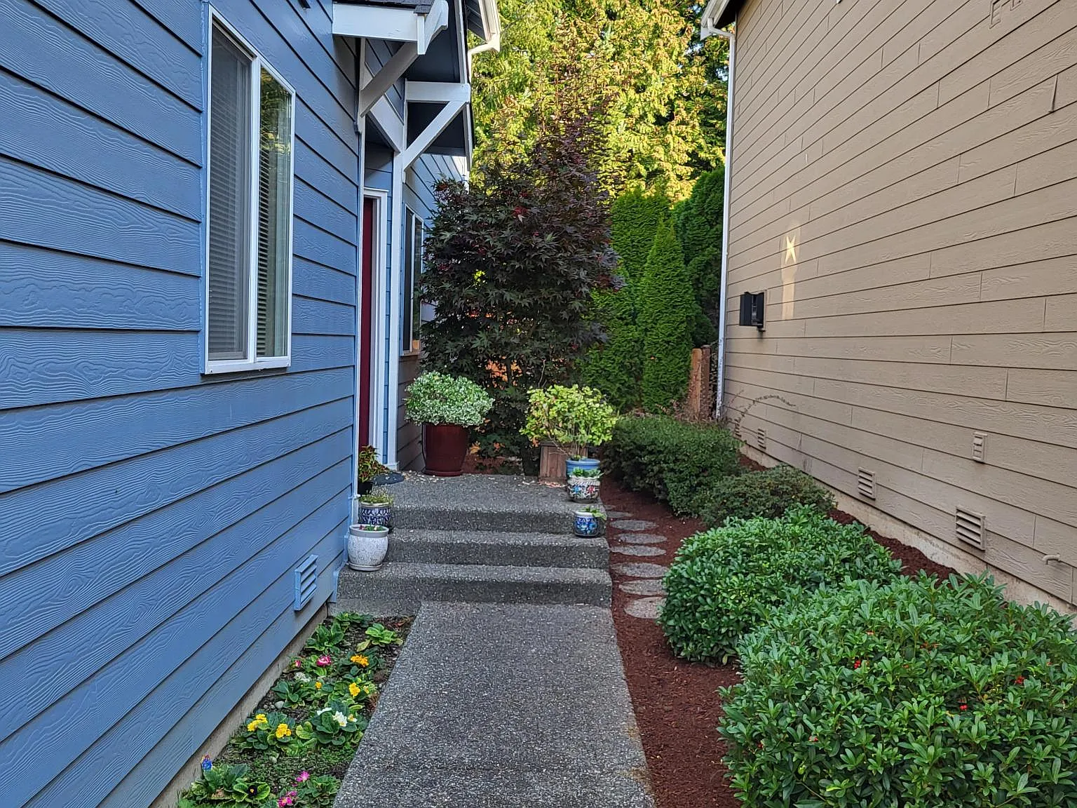 4 bed, 2.5 bath, 2460 sqft, $3,650 — Photo 3