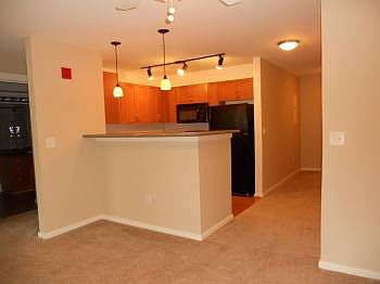 1st image of 558 Central Way APT A315