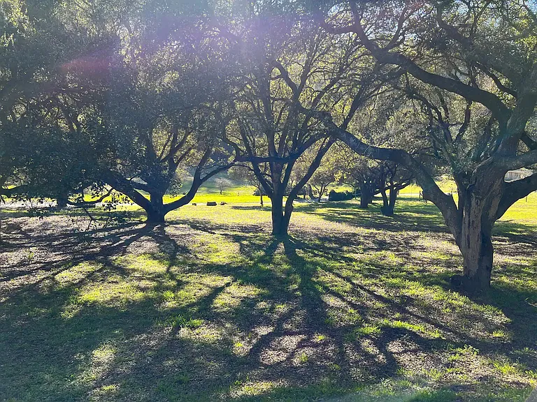 Hambey Ln — Photo 32