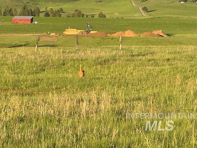 2nd image of 13712 Farm To Market Rd