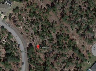 55 Grass St, Homosassa, FL 34446