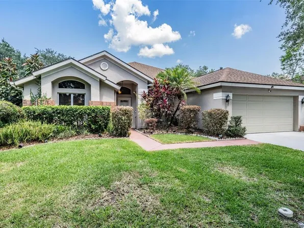 9413 Hunters Pond Dr, Tampa, FL 33647