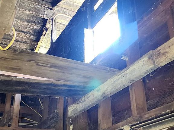 5th image of 219 E Dennett Ave