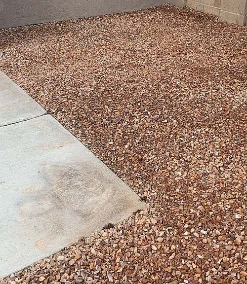 Rincalina on Speedway Townhomes — Photo 34
