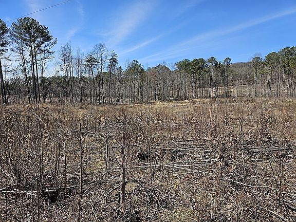 2nd image of TRACT 10 Dykes Hollow Rd Unit 10