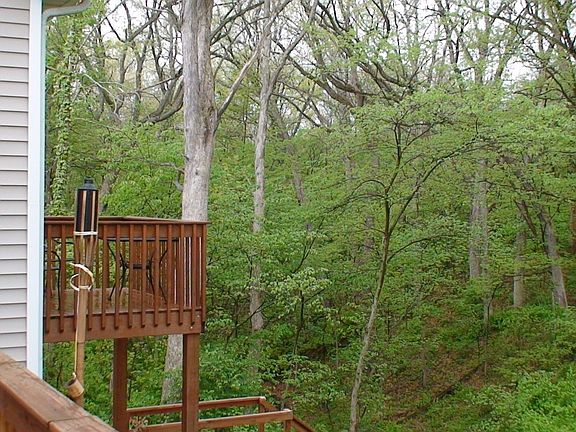 a stunning view of the ravine and wooded area