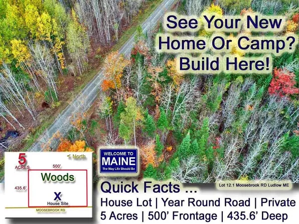 Lot 12.1 Moosebrook Road, Ludlow, ME 04730