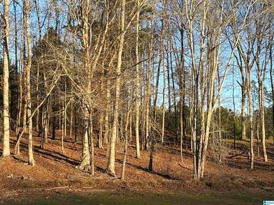 7 County Road 499 Lot 7, Woodland, AL, 36280