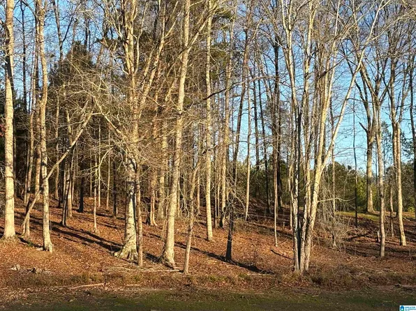 7 County Road 499 Lot 7, Woodland, AL 36280