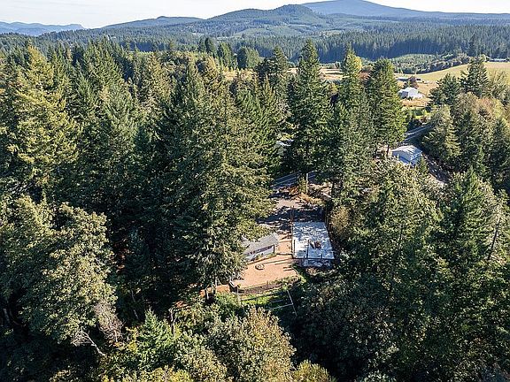 2nd image of 42912 E Larch Mountain Rd