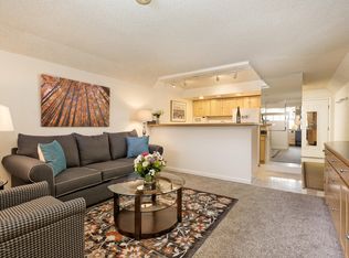 911 Vine St, Aspen, CO 81611