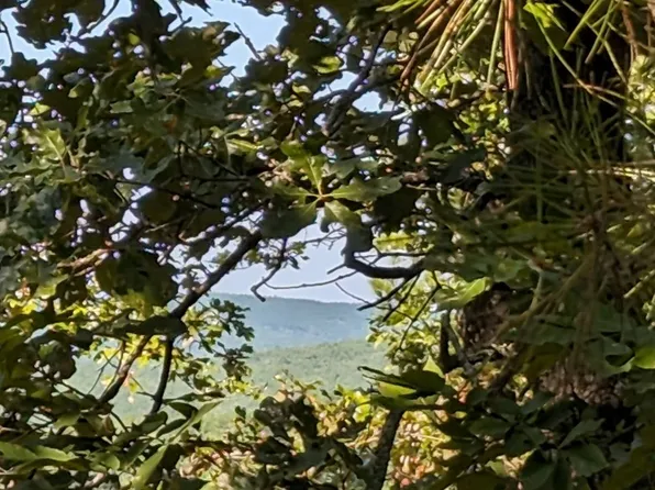 22 Saddlegap Rnch, Tuskahoma, OK 74574