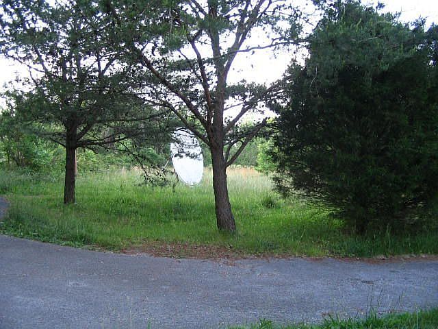 2nd image of 294 Davenport Rd